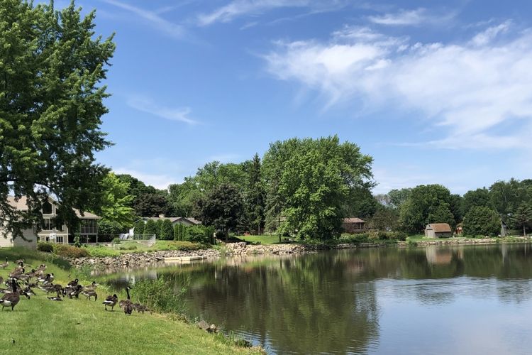 Marshall, Wisconsin Real Estate & Homes for Sale